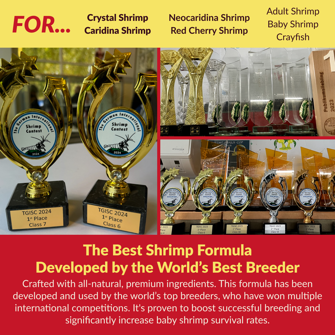 Rare Shrimp Professional Shrimp Food for Crystal Shrimp, Caridina, Neocaridina, Ornamental Shrimp - 5 gram SAMPLE PACK