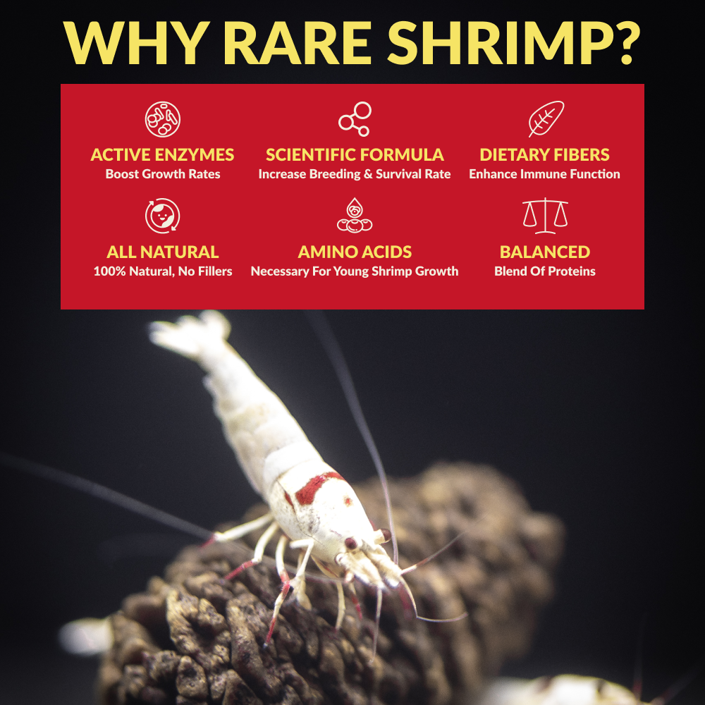 Rare Shrimp Professional Shrimp Food for Crystal Shrimp, Caridina, Neocaridina, Ornamental Shrimp - 5 gram SAMPLE PACK