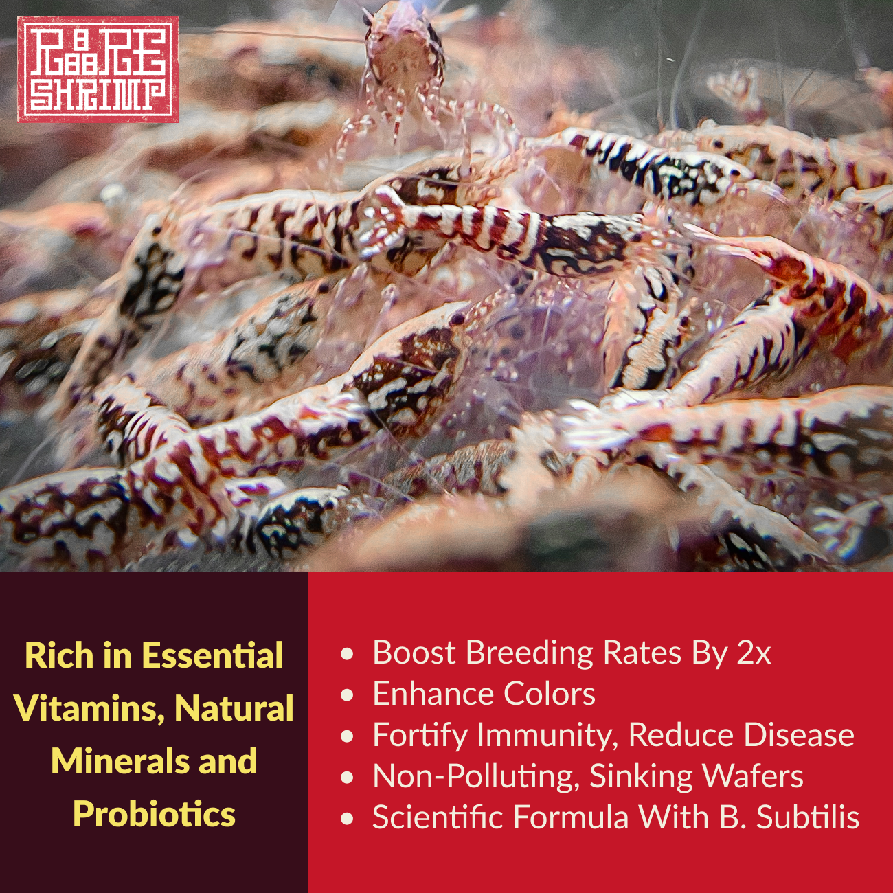 Rare Shrimp Professional Shrimp Food for Crystal Shrimp, Caridina, Neocaridina, Ornamental Shrimp - 5 gram SAMPLE PACK