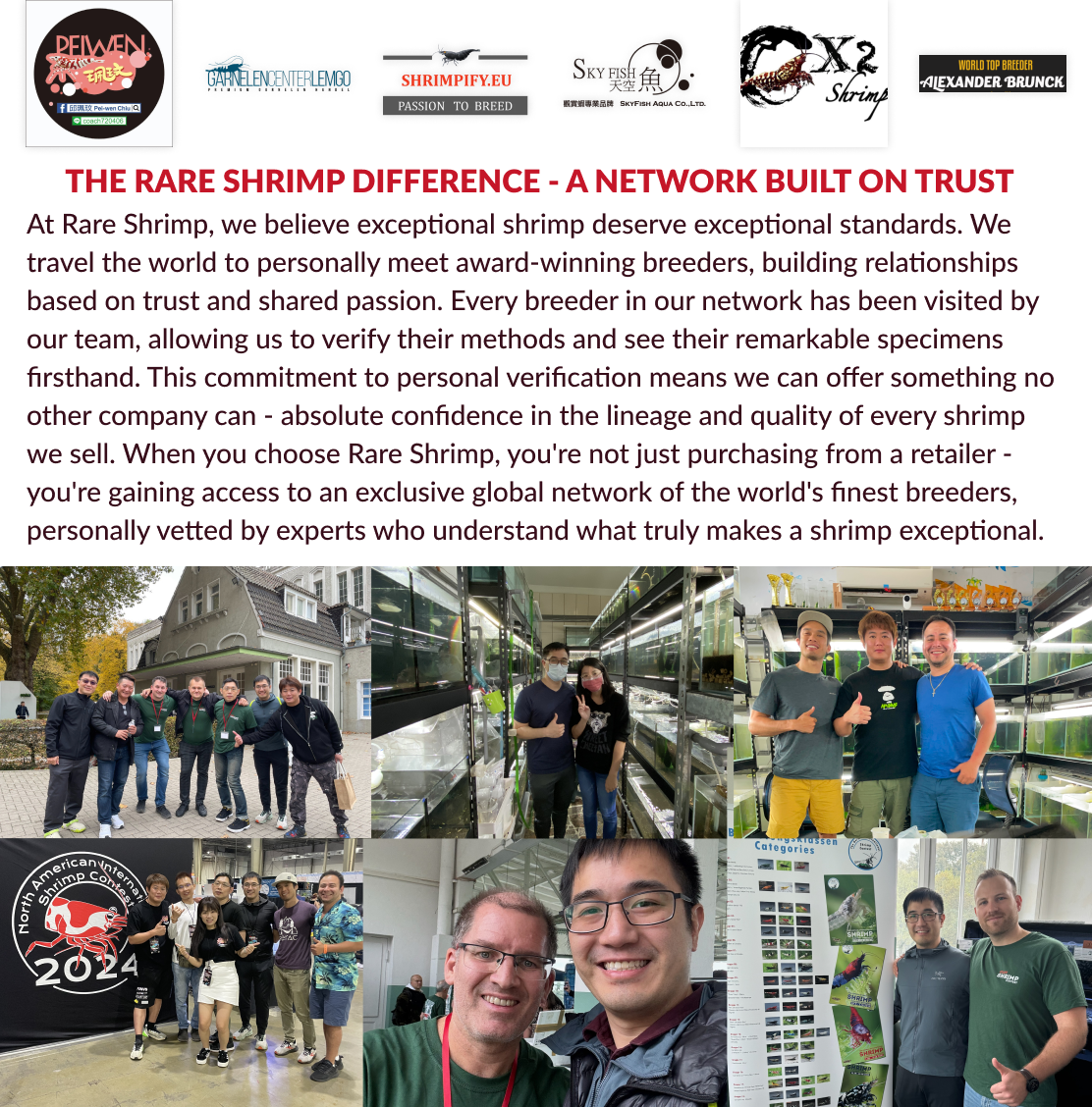 The Original OE Neocaridina Blue Jelly (Presale)