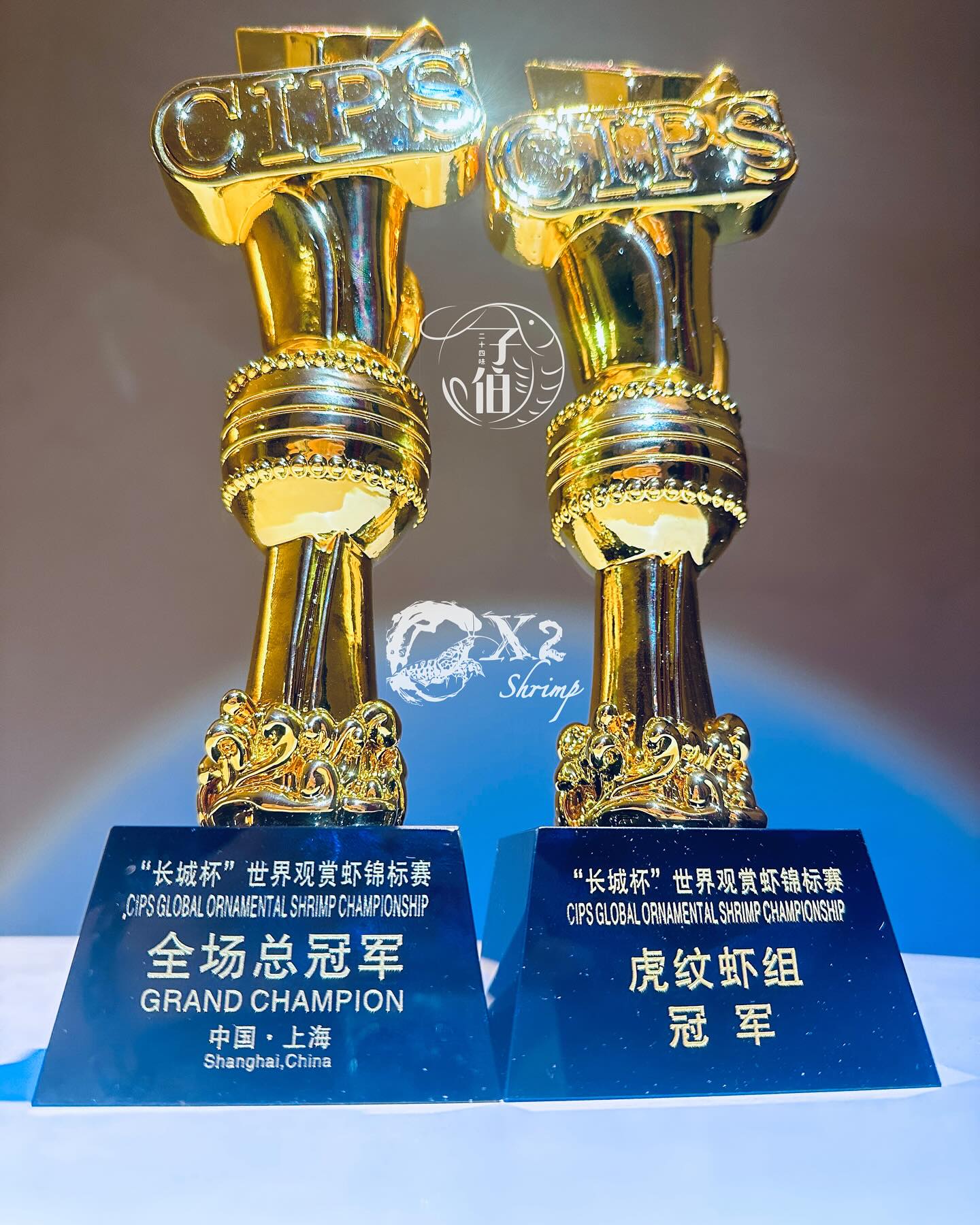PRESALE - Purple Metallic King Kongs