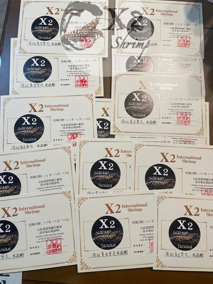 PRESALE - Red Metallic