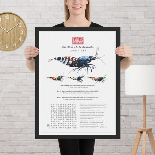Lava Tiger Framed Poster